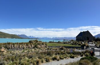 IMG_8188