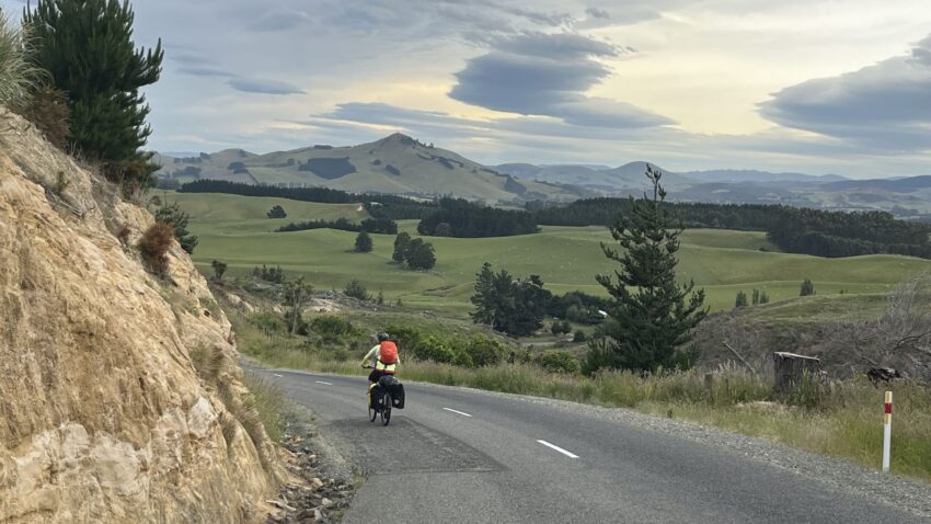 2026 NZ