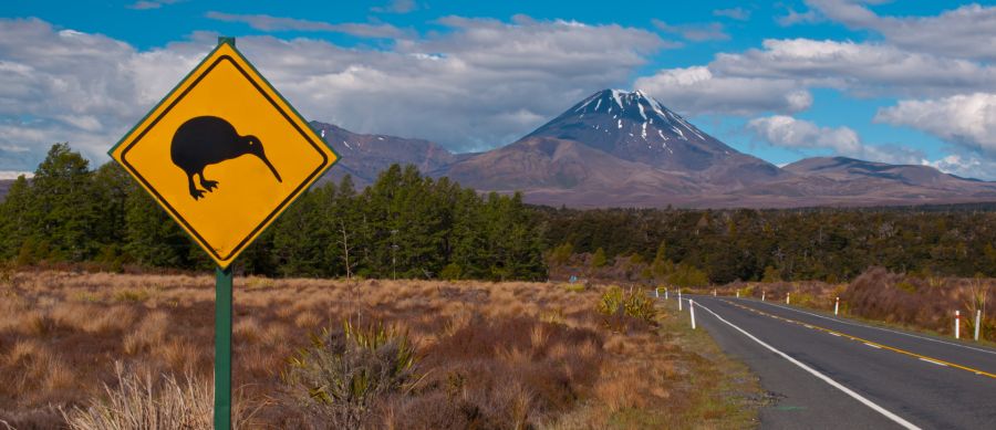 2025 NZ